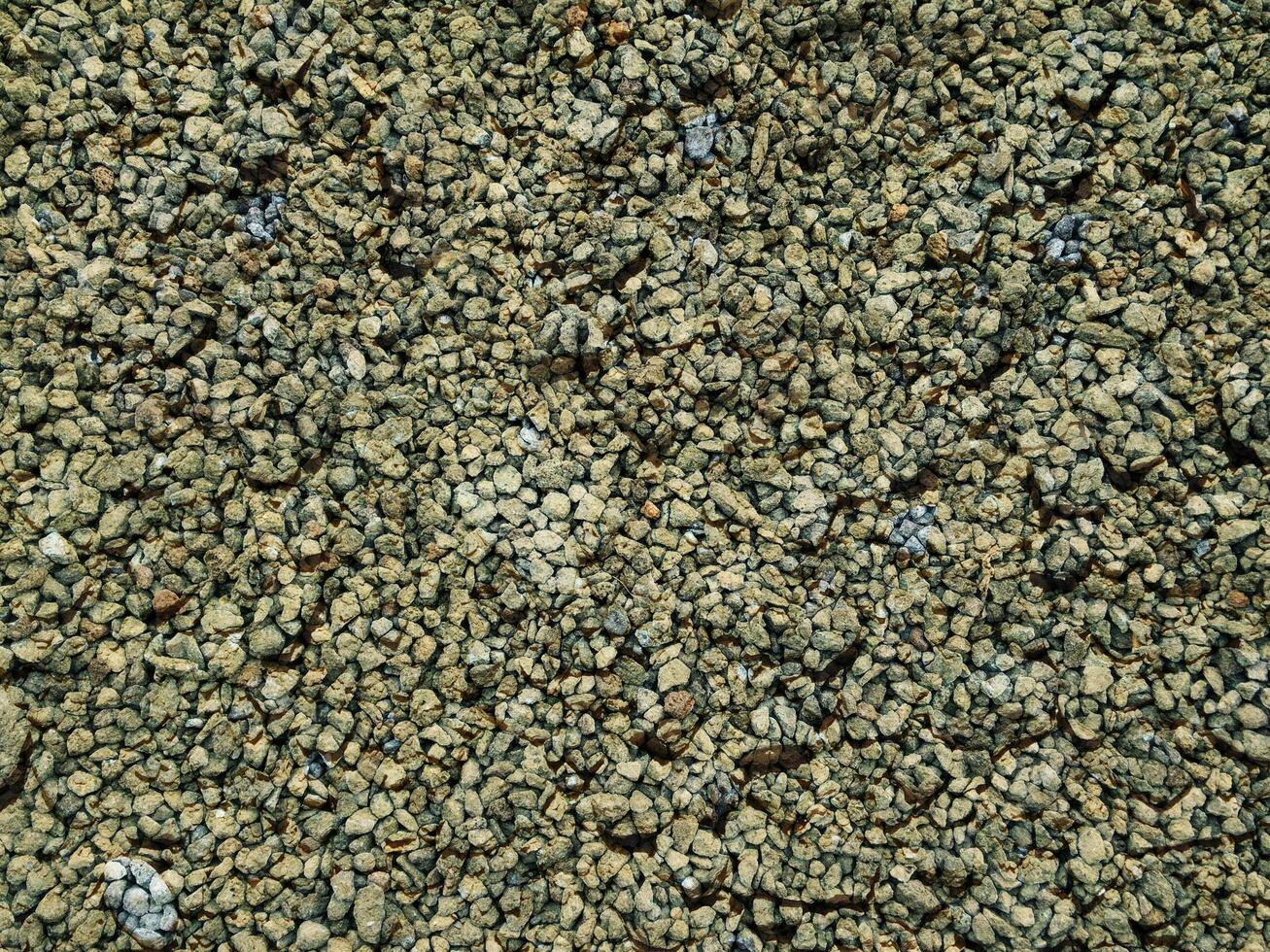 Ground Texture Outdoors In The Garden photo