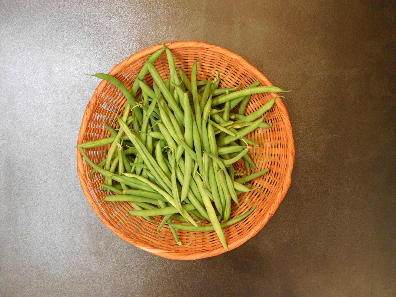 Green bean in the kitchen photo