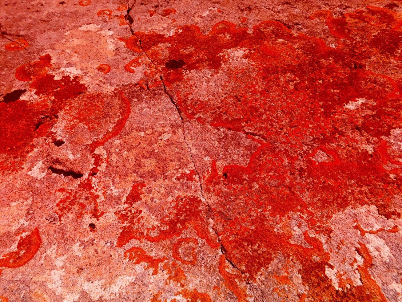 textura de piedra roja en el jardín foto