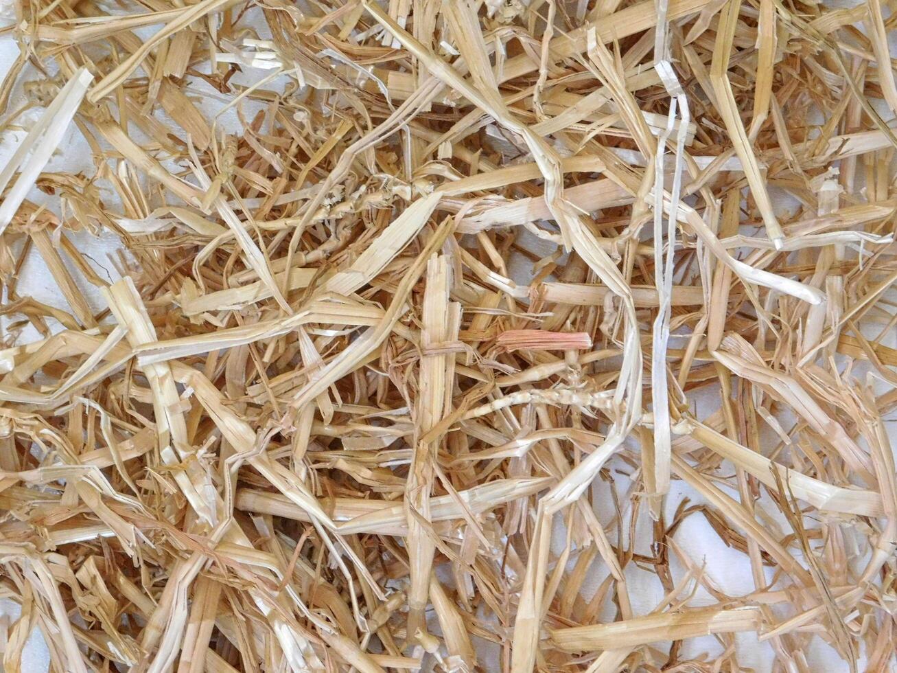 Straw texture outdoor photo