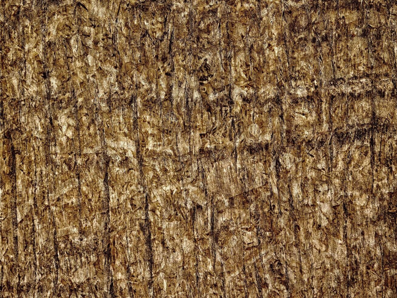 Brown Wood Texture photo