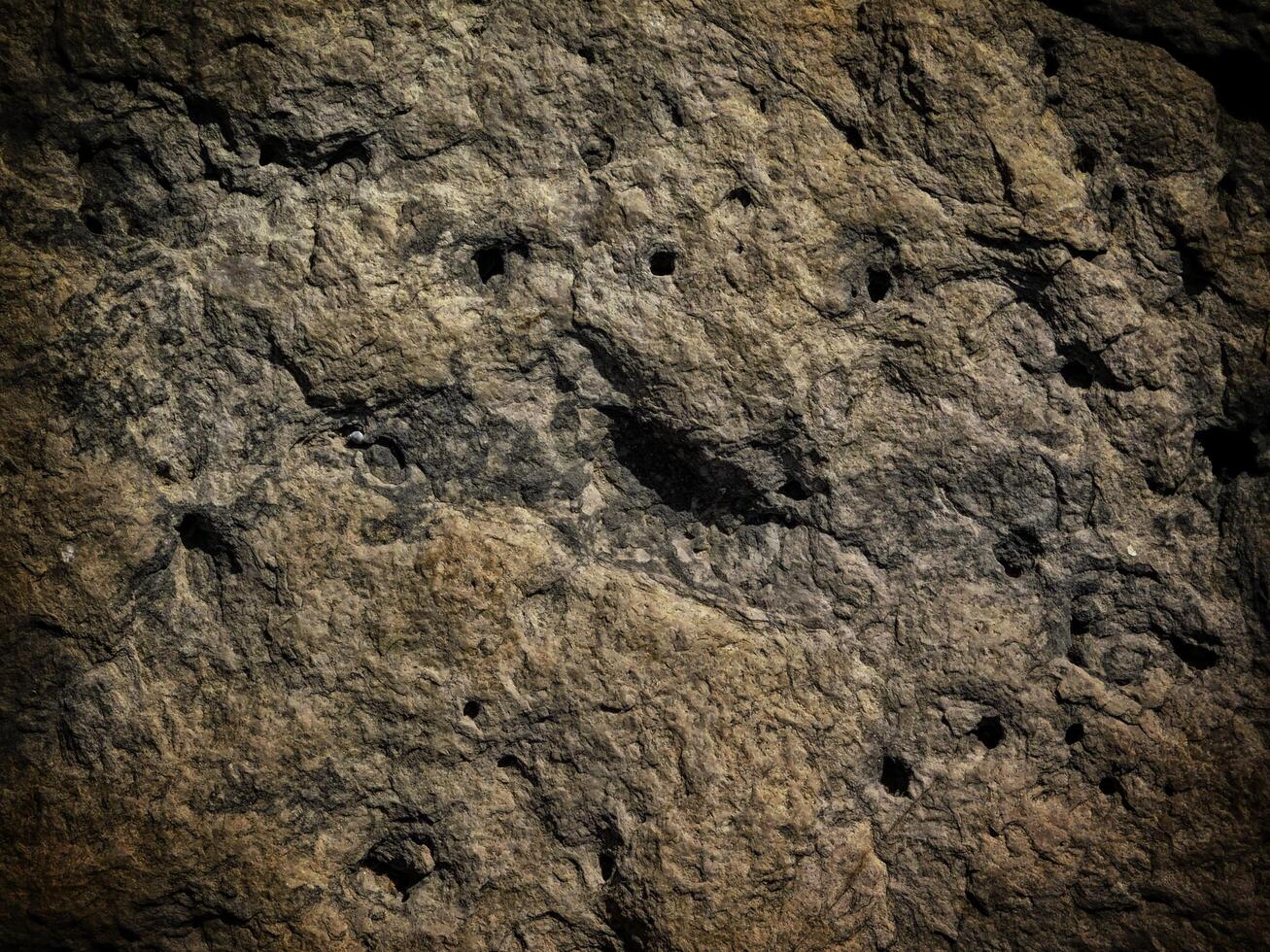 Dark Stone Texture In The Garden photo