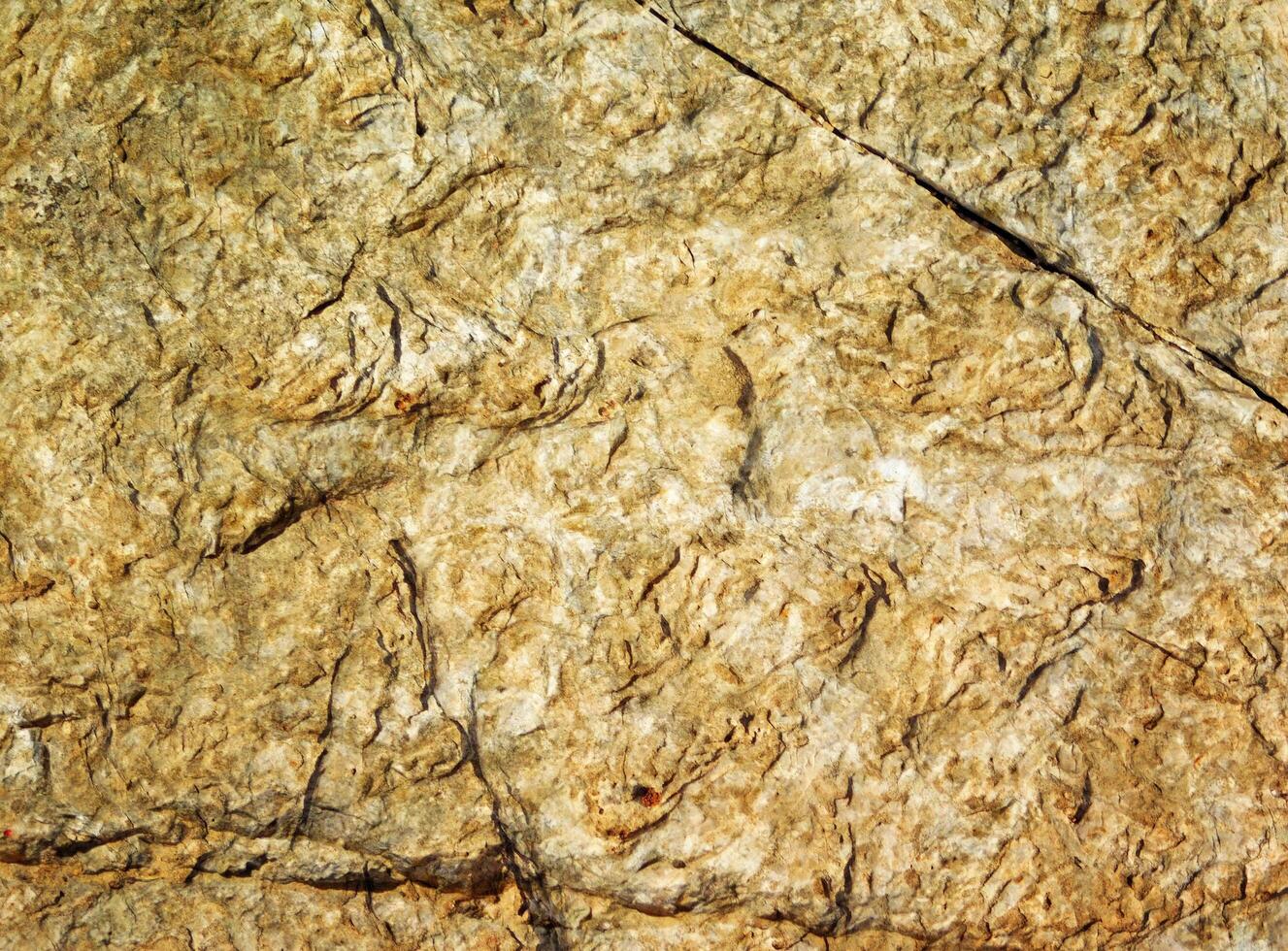Stone texture outdoor photo