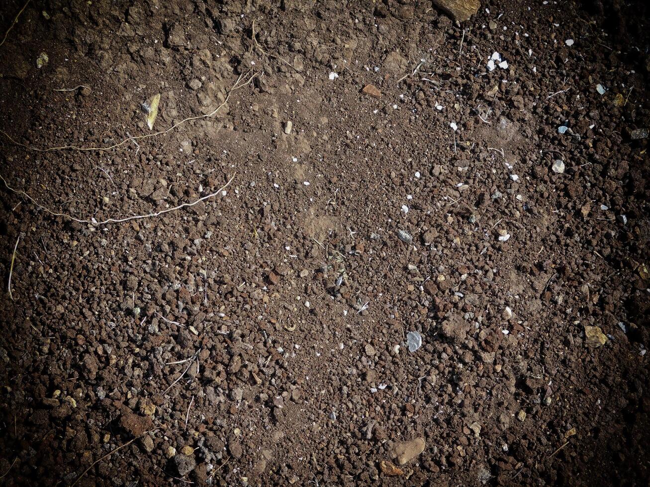Dark Earth Texture In The Garden photo