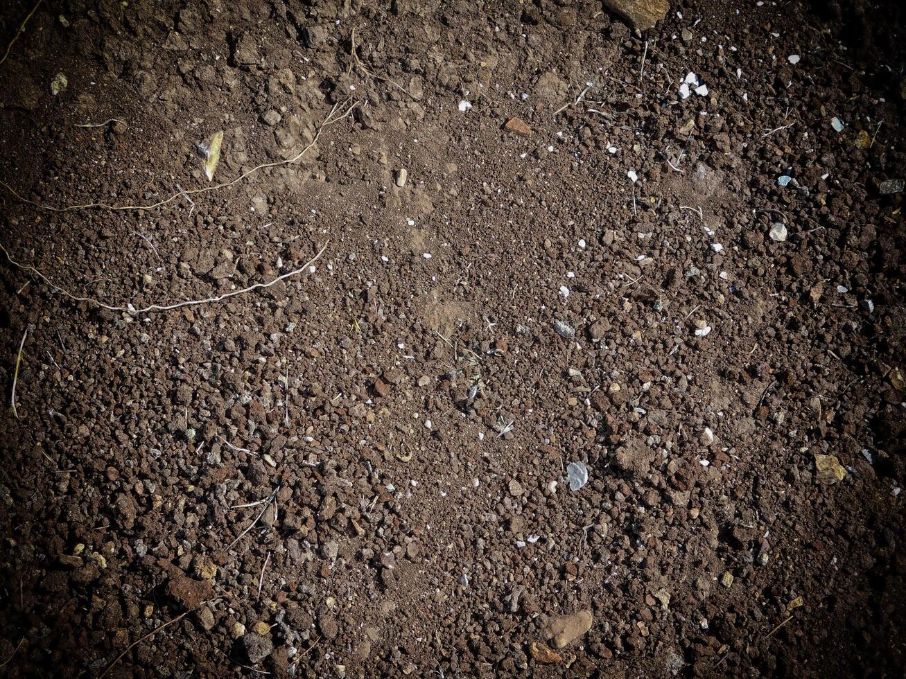 textura de tierra oscura en el jardín foto