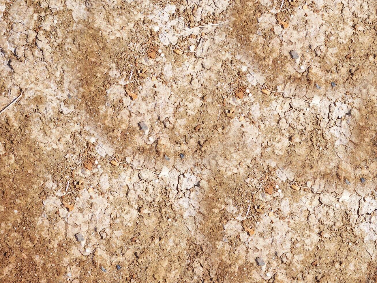 Outdoor ground texture photo