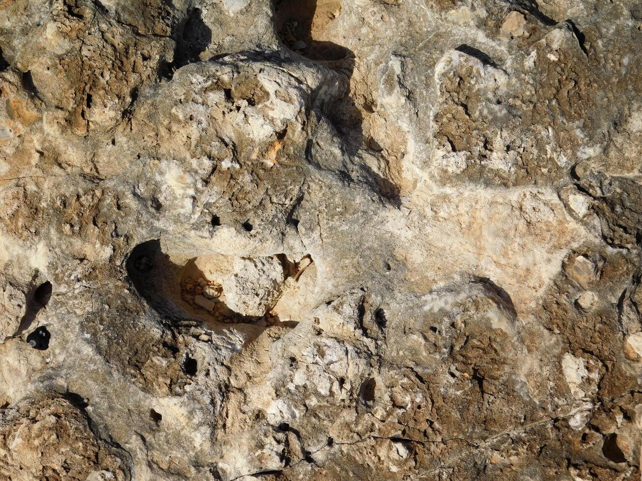 Stone texture outdoor photo