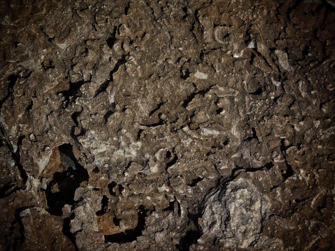 Dark Stone Texture In The Garden photo