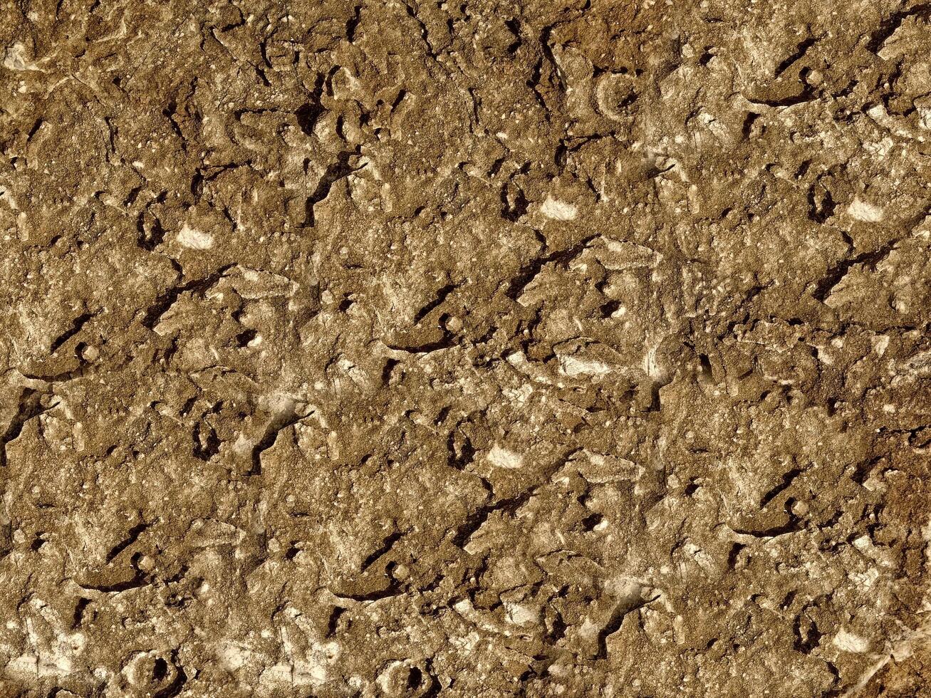 Brown Stone Texture photo