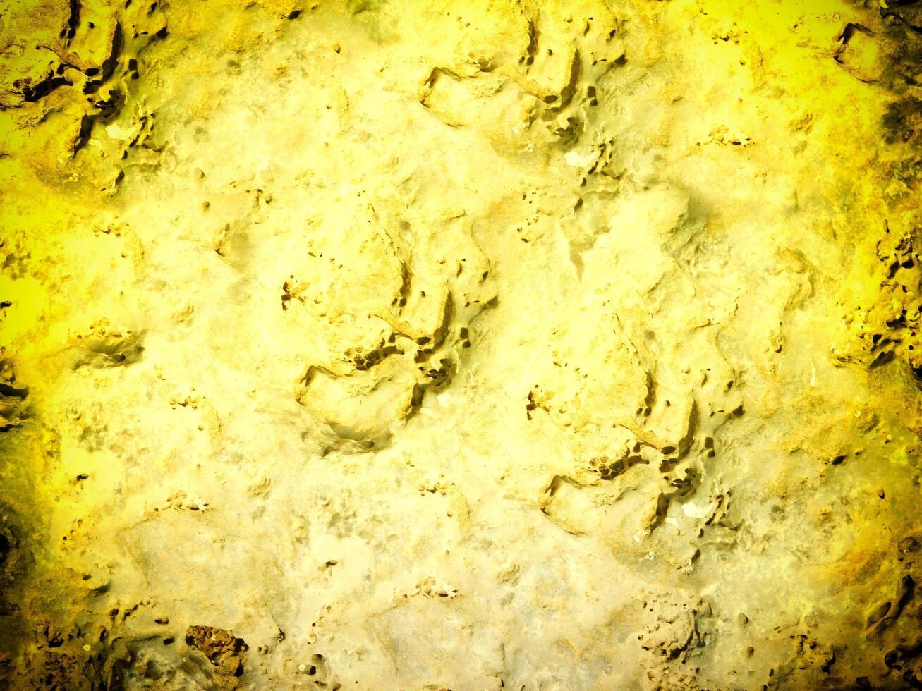 Texture Of Yellow Stone In The Garden photo