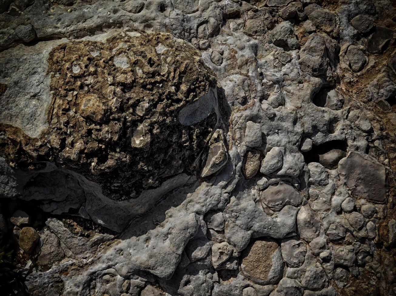 textura de piedra oscura en el jardín foto