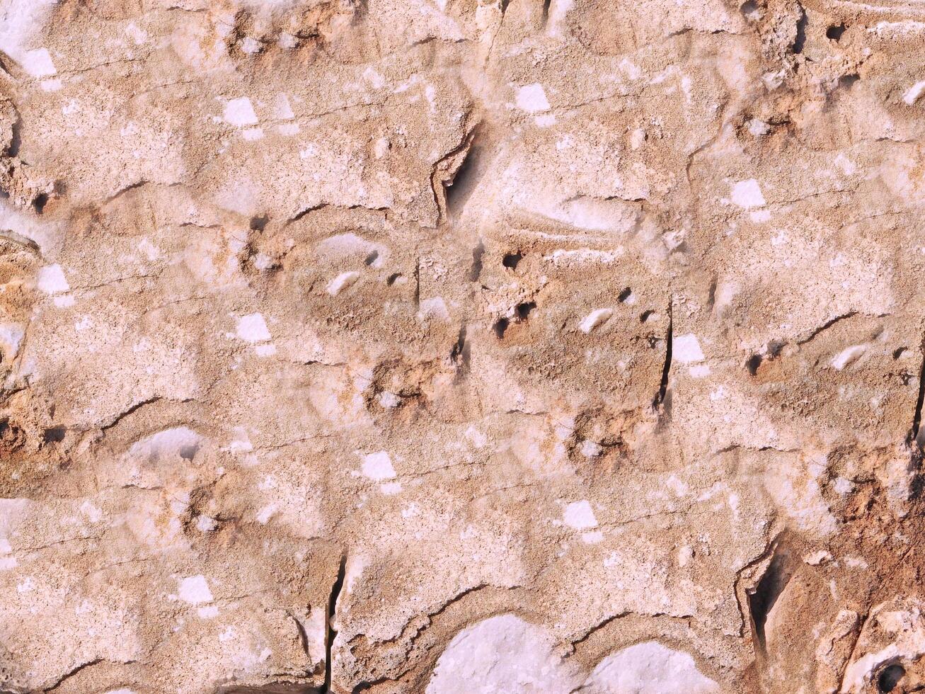 Stone texture outdoor photo