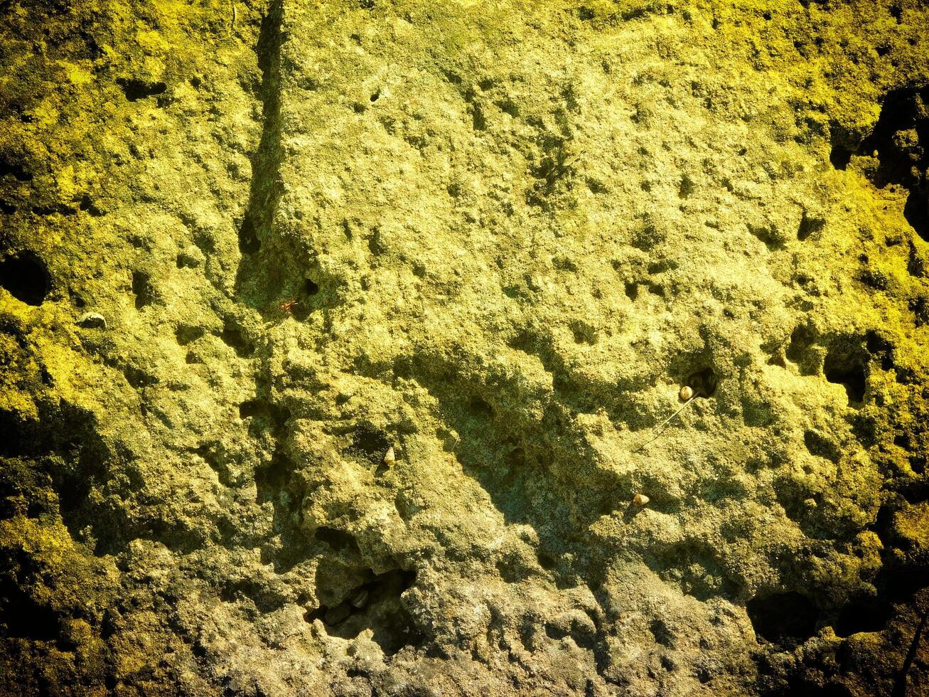 Texture Of Yellow Stone In The Garden photo