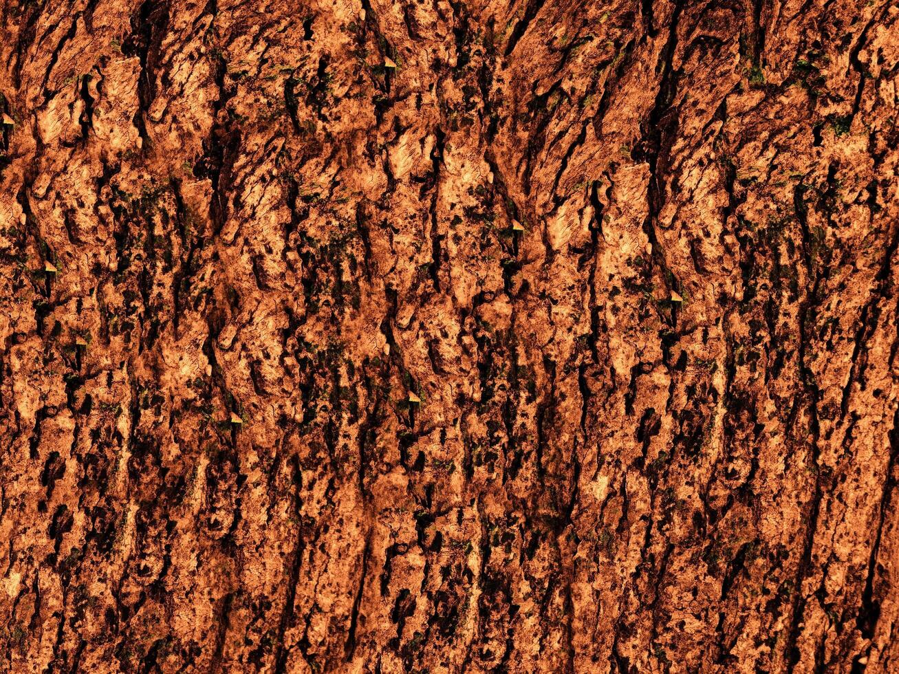 Dark Brown Wood Texture photo