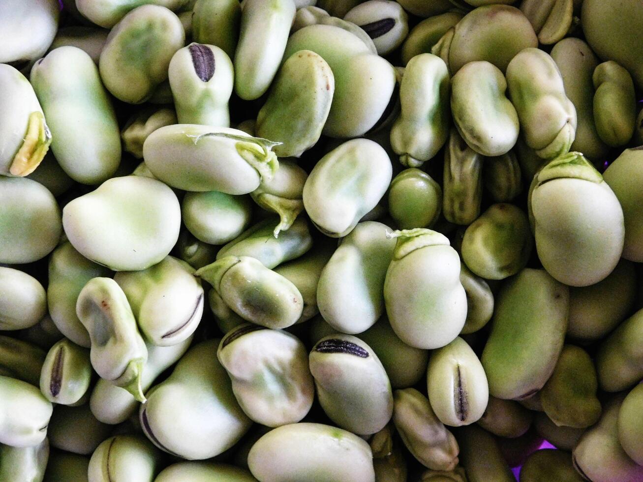 Fava beans in the kitchen photo