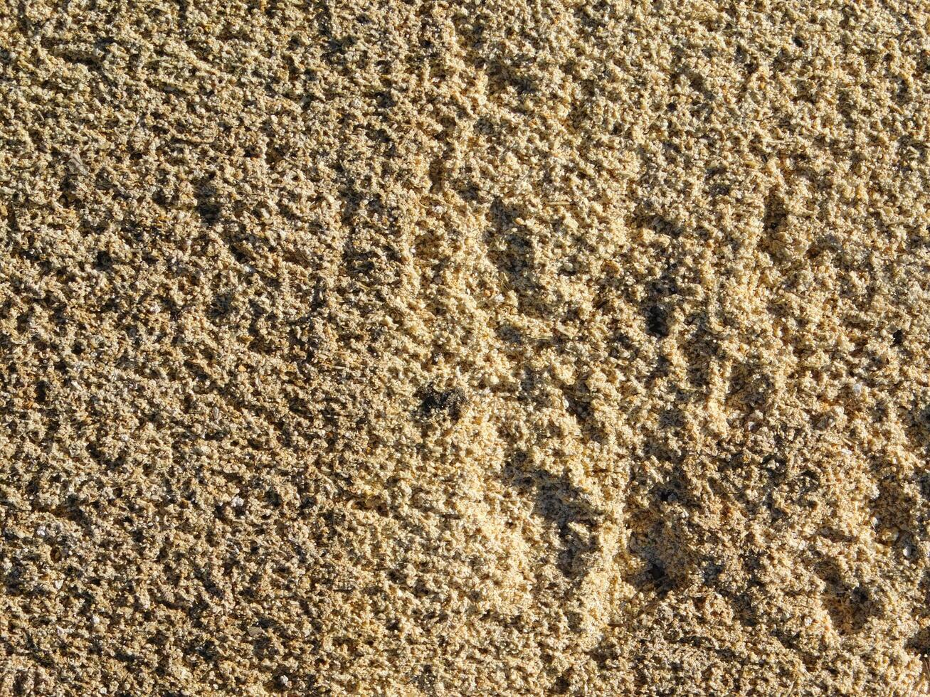 Stone texture outdoor photo