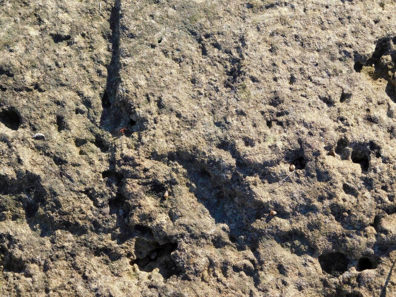 textura de piedra al aire libre foto