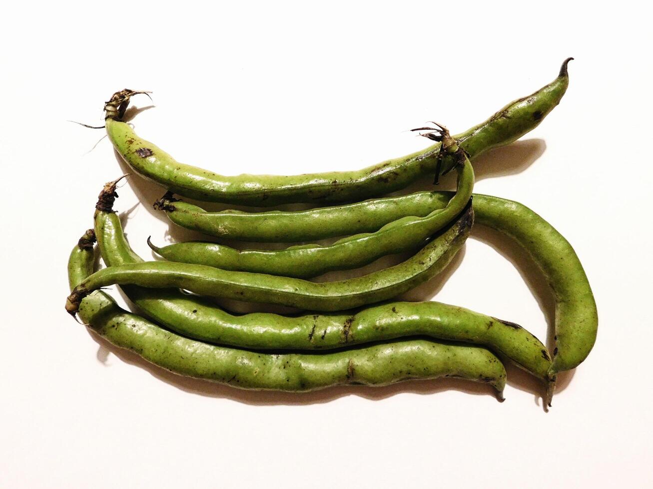 Fava beans in the kitchen photo