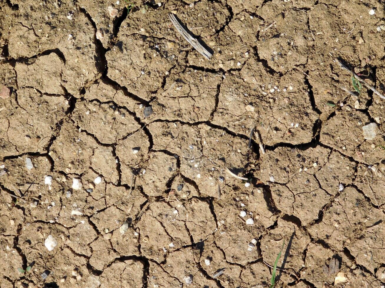 Arid land outdoor photo