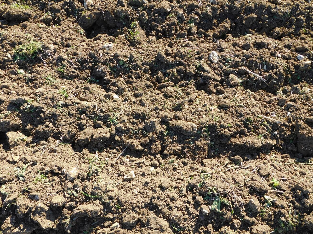 Ground texture outdoor photo