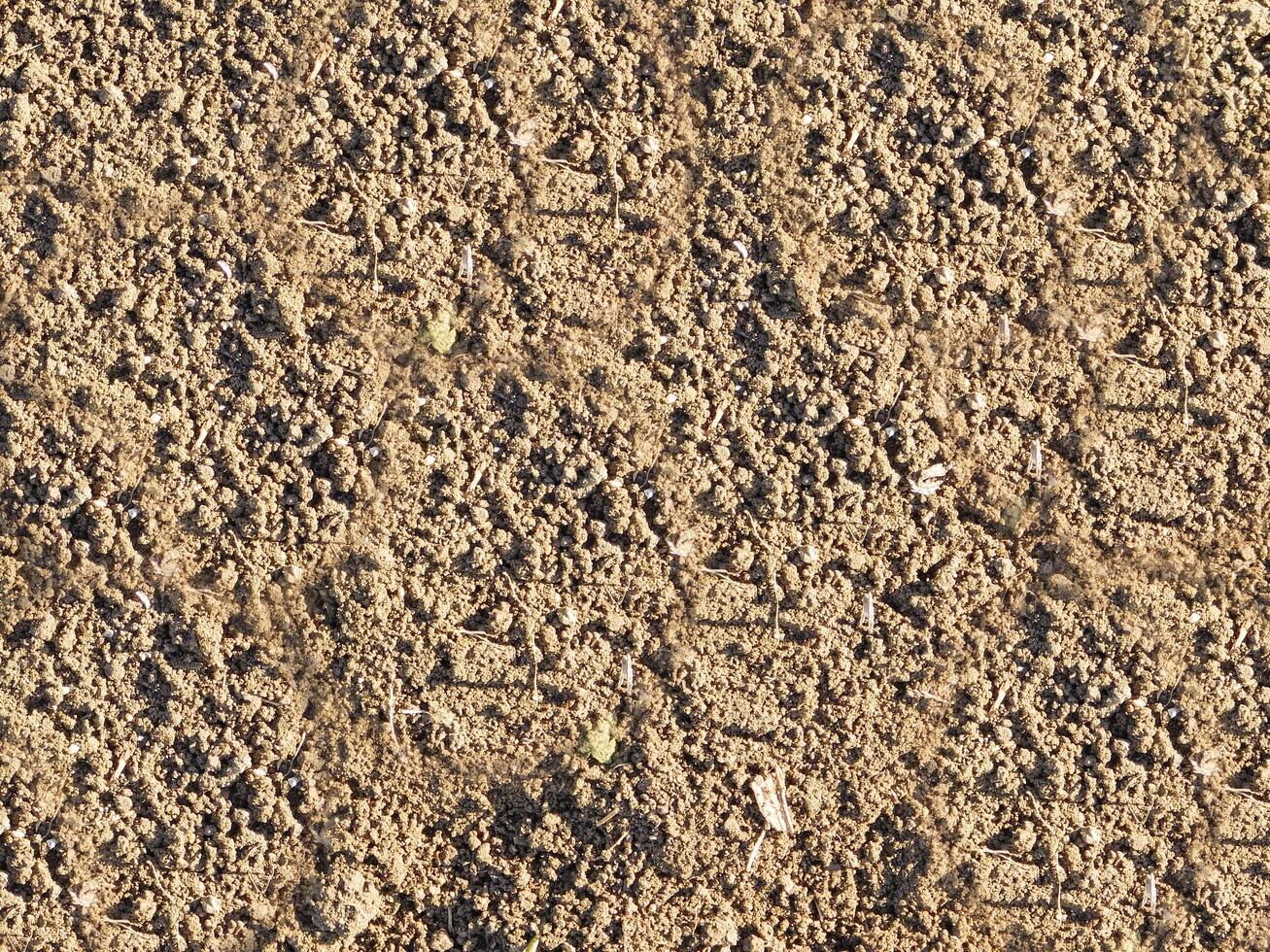 Stone Texture Outdoors In The Garden photo