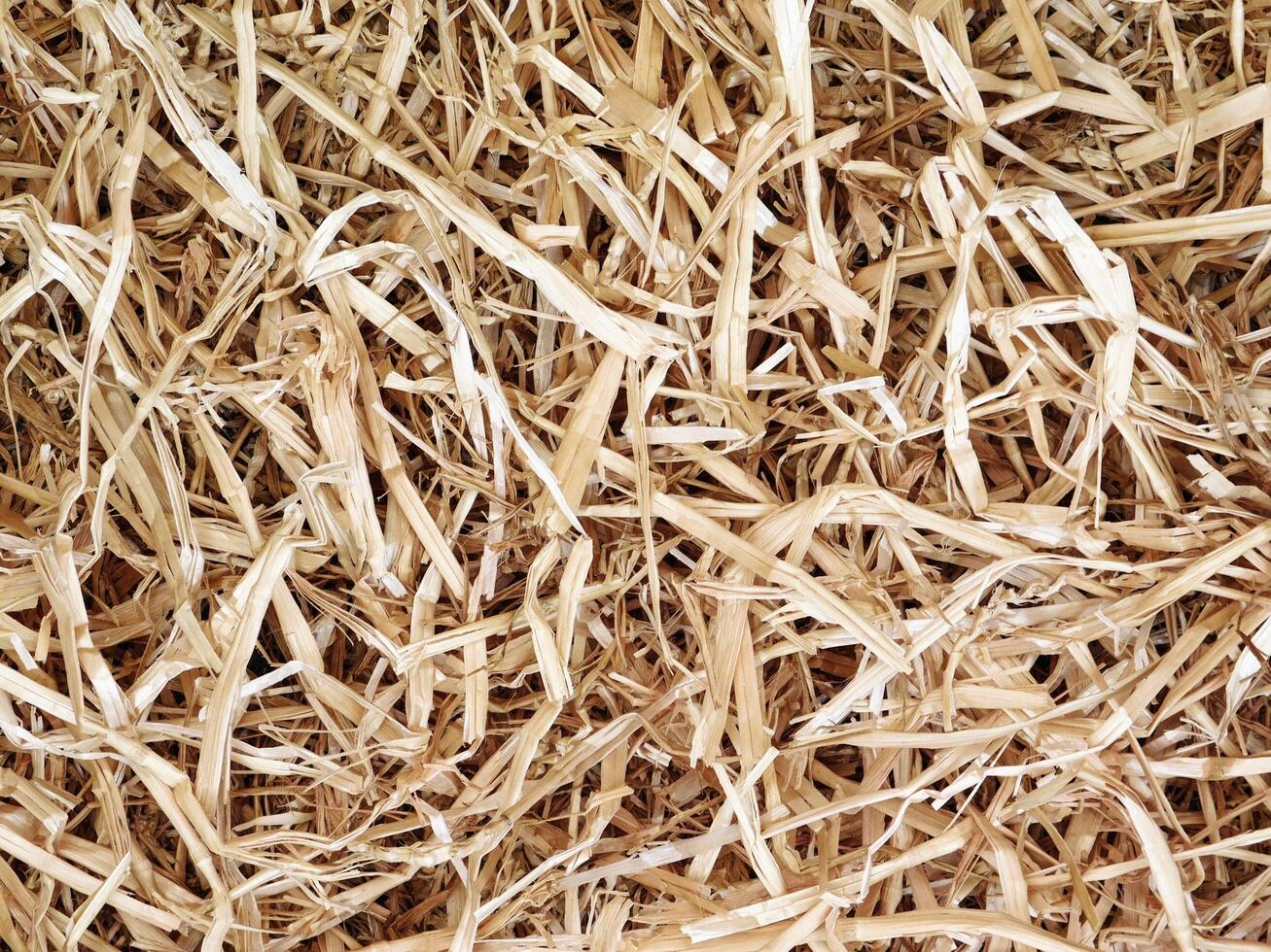 Straw texture outdoor photo