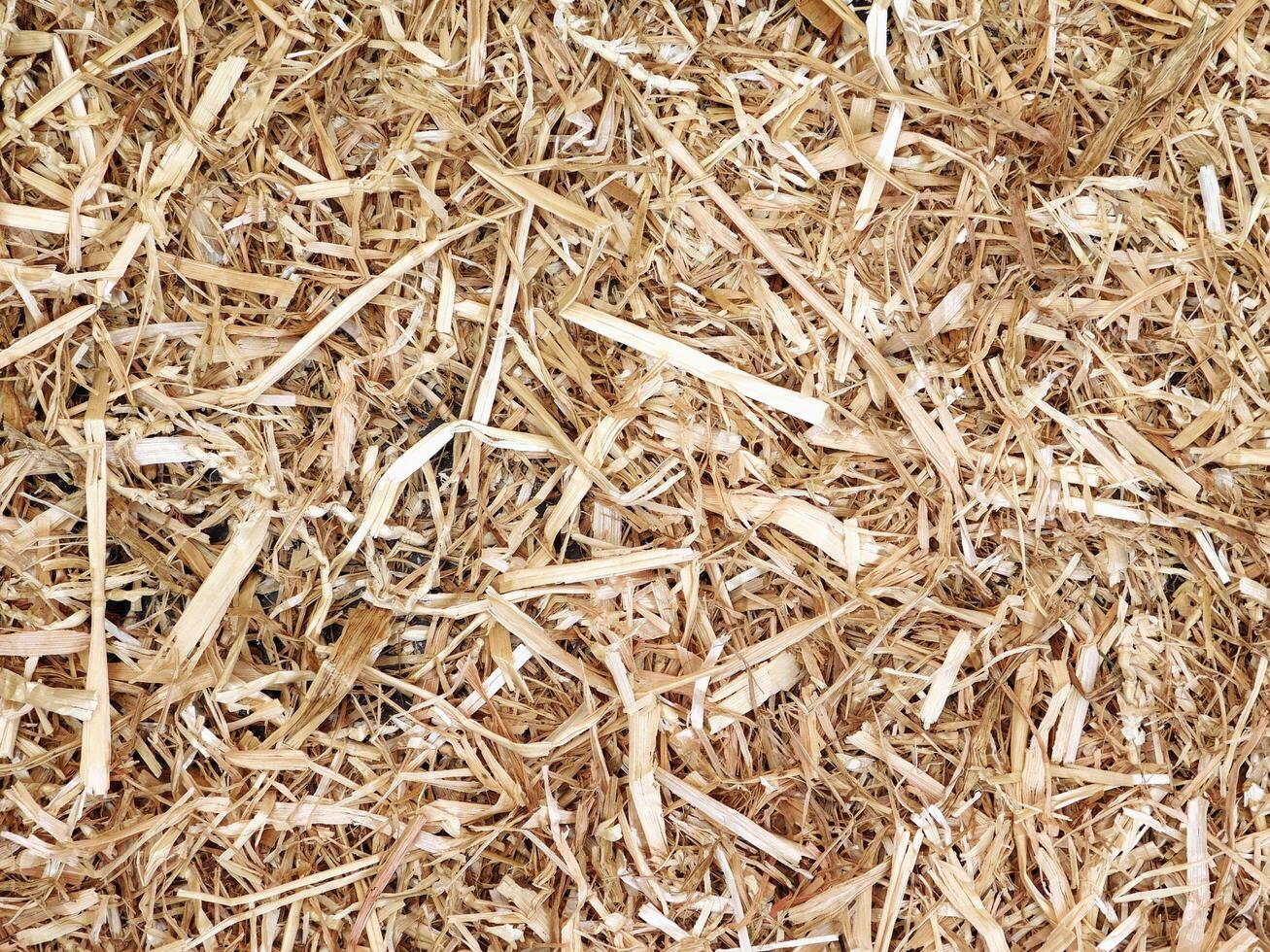 Straw texture outdoor photo