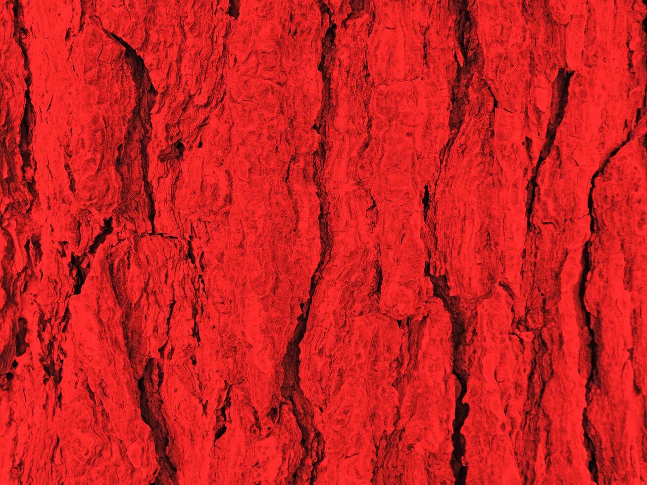 Red Wood Texture photo