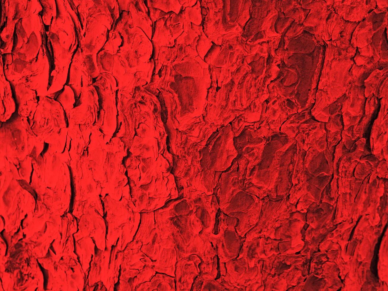 Red Wood Texture photo