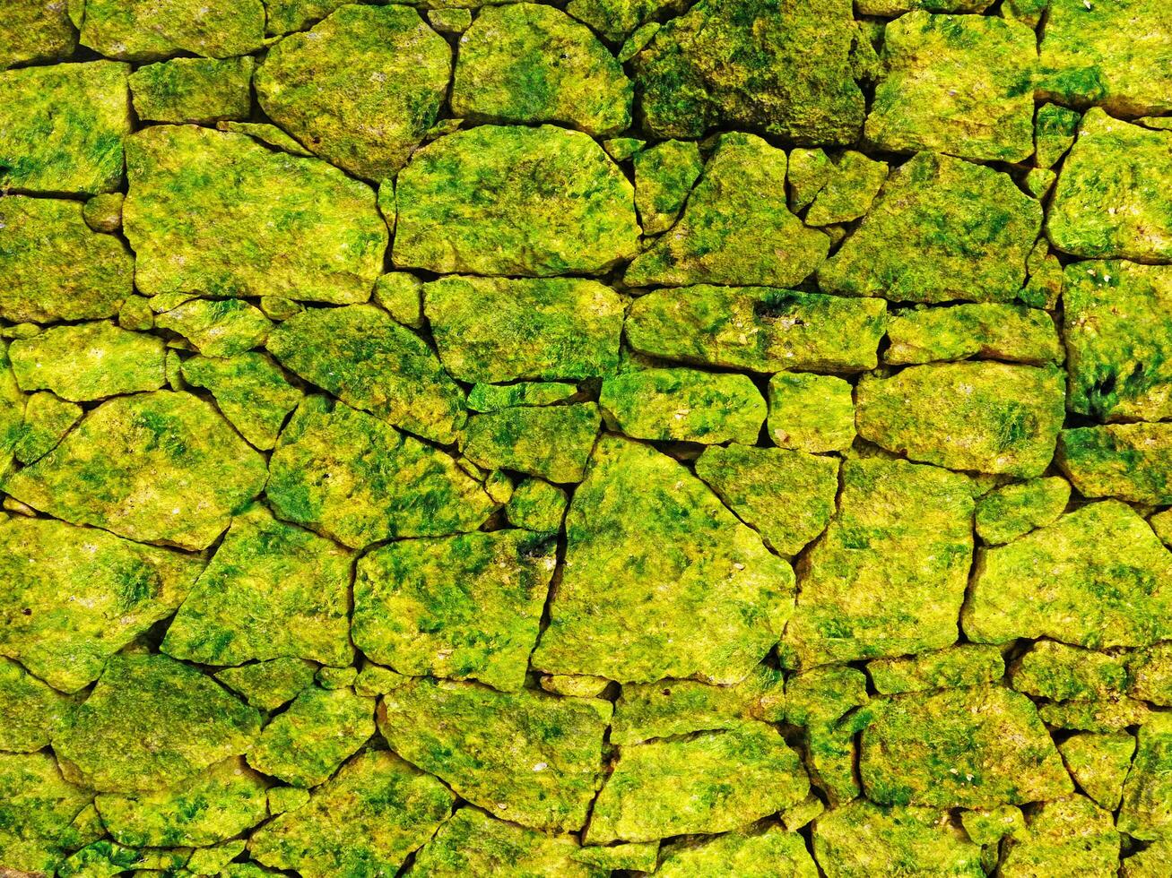 Green Stone Texture photo