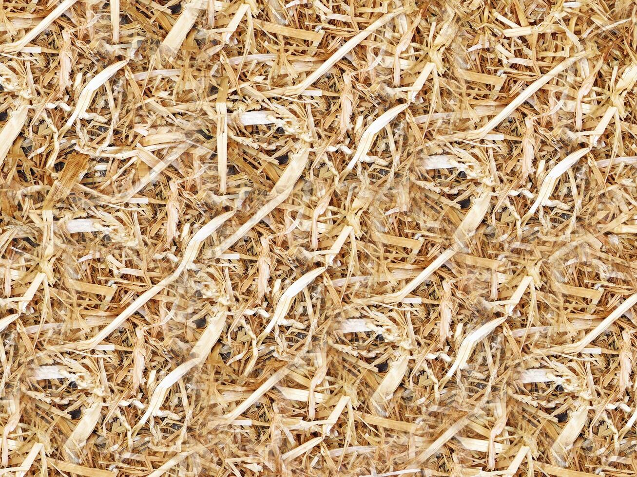 Straw texture outdoor photo