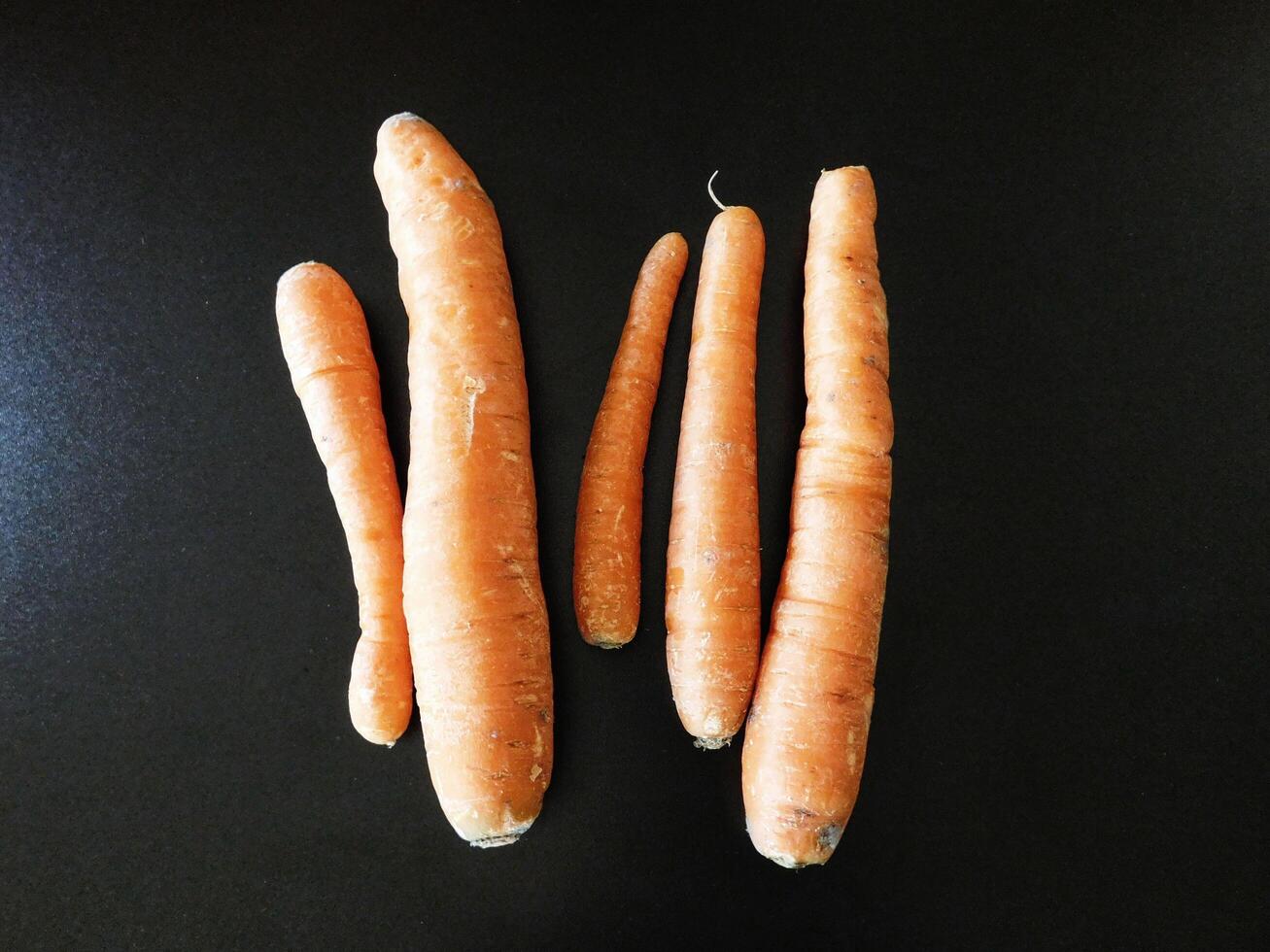 carrots in the kitchen photo