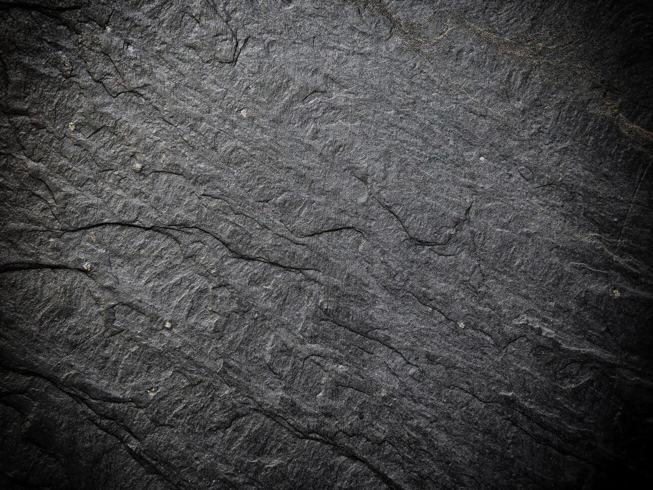 Dark Marble Texture In The Garden photo