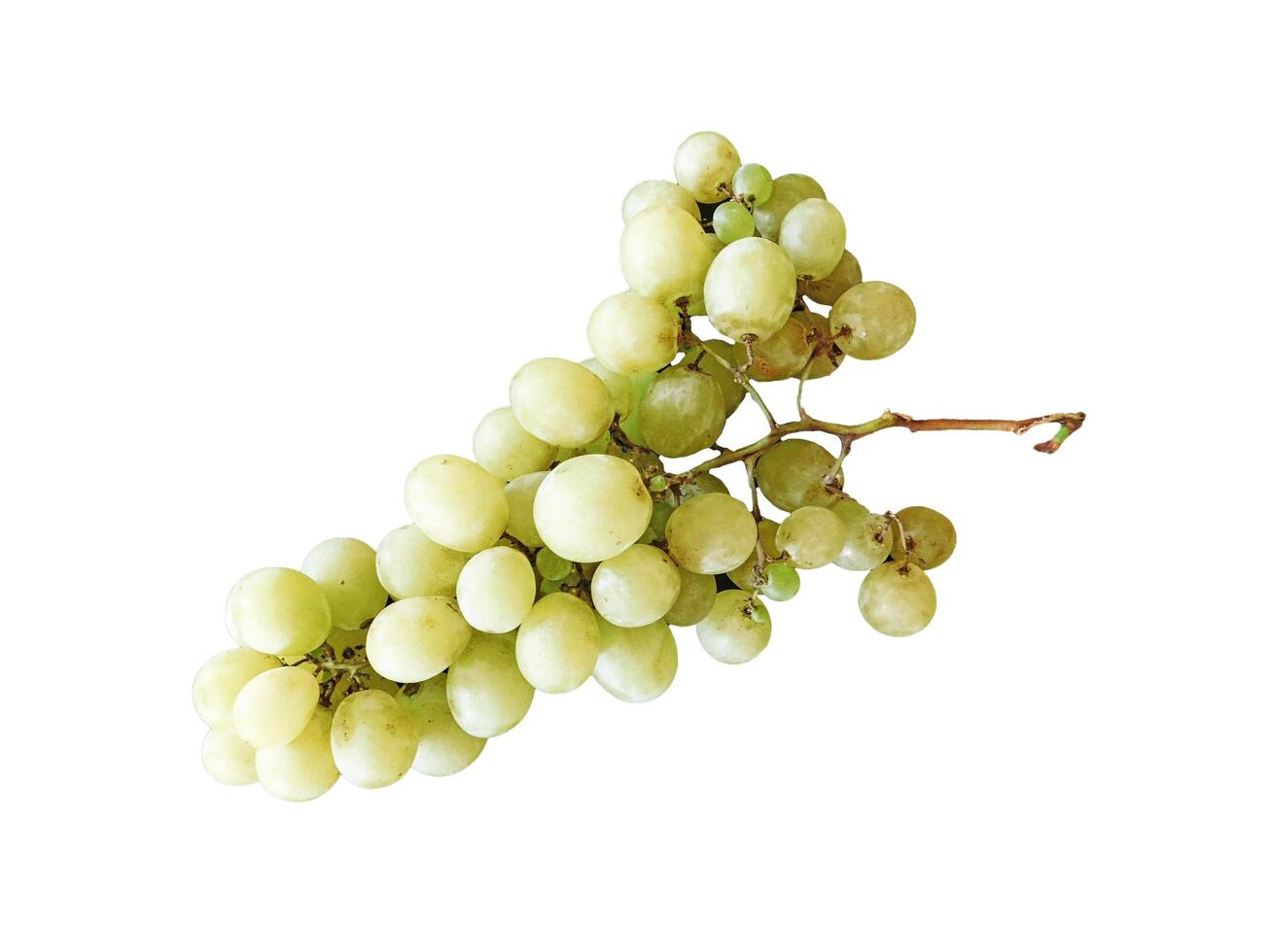 Grapes In The Kitchen On White Background photo
