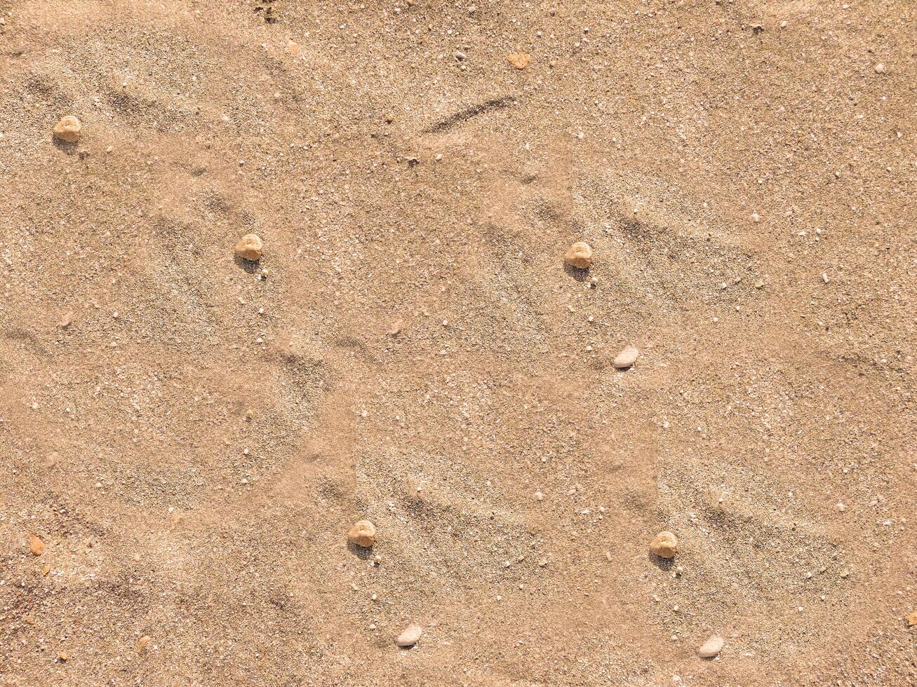 Sand Texture Outdoors In The Garden photo