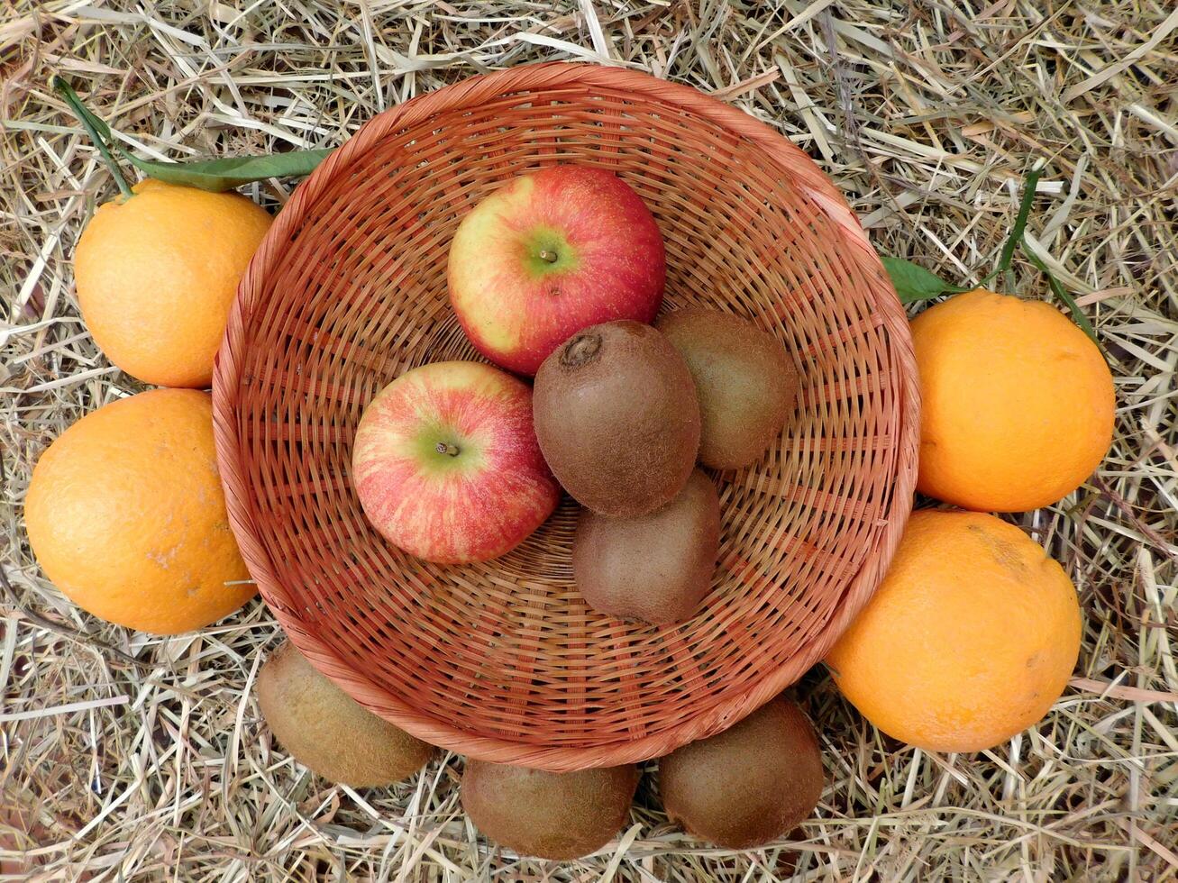 Fruit in the garden photo