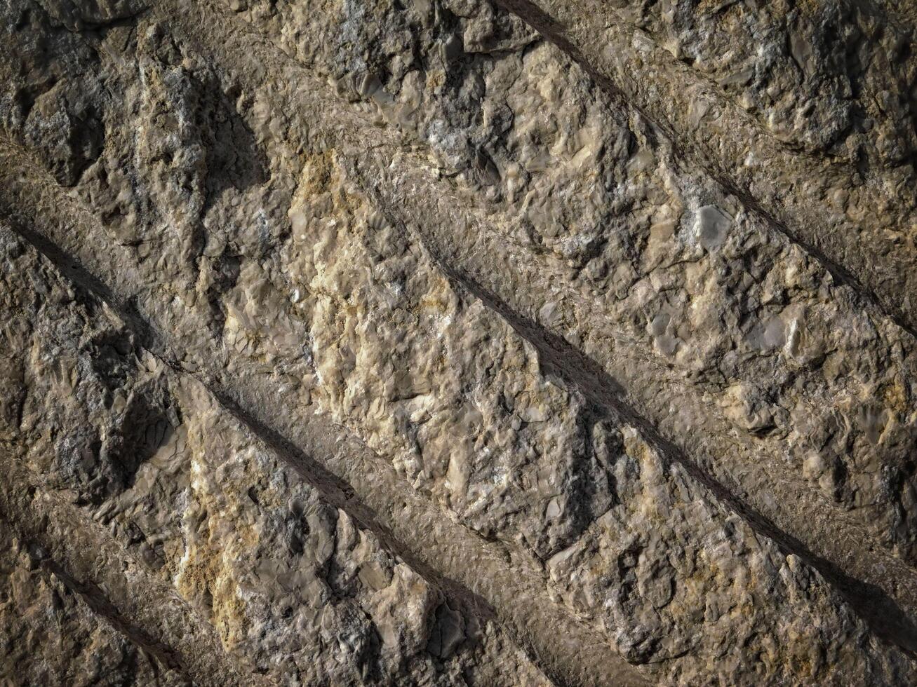 Dark Stone Texture In The Garden photo