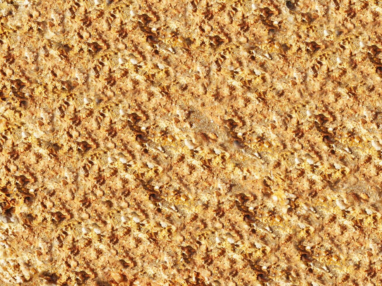 Stone Texture In The Garden photo