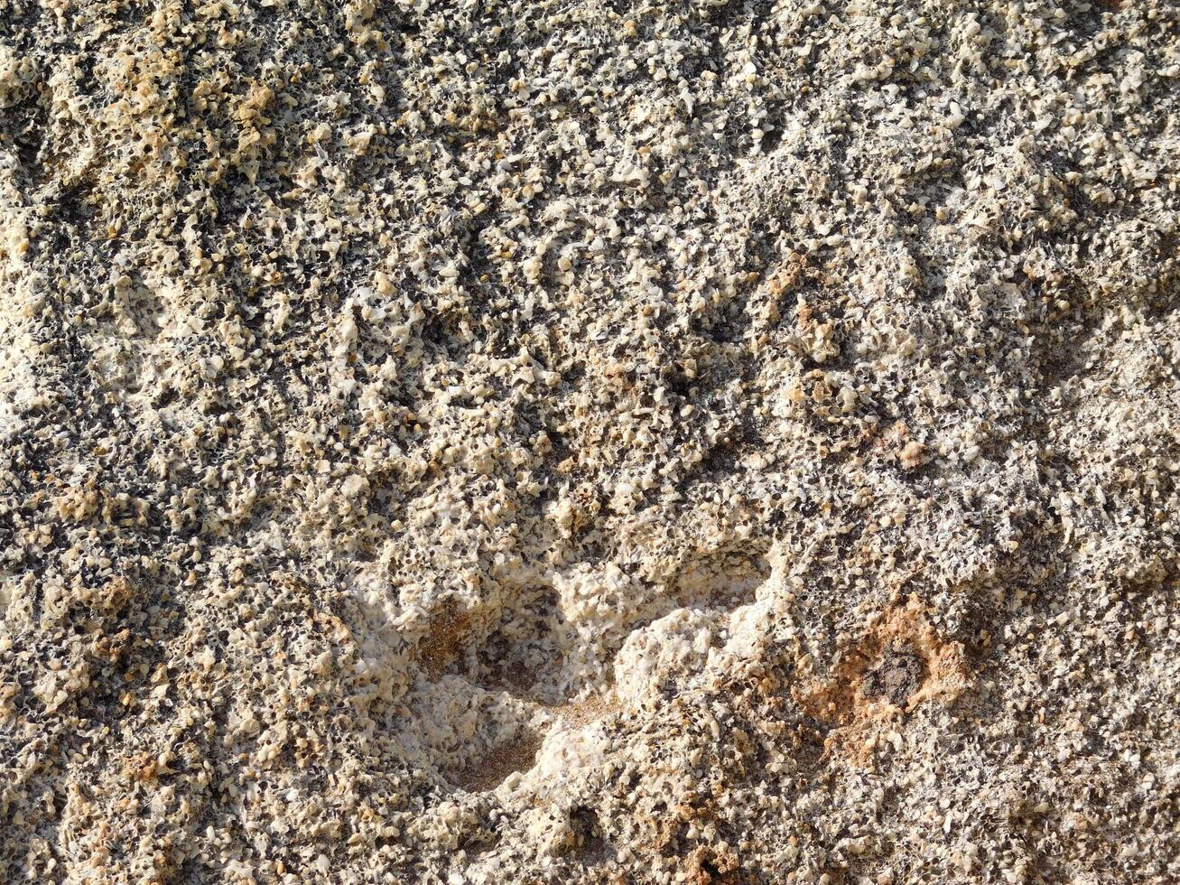 textura de piedra al aire libre foto