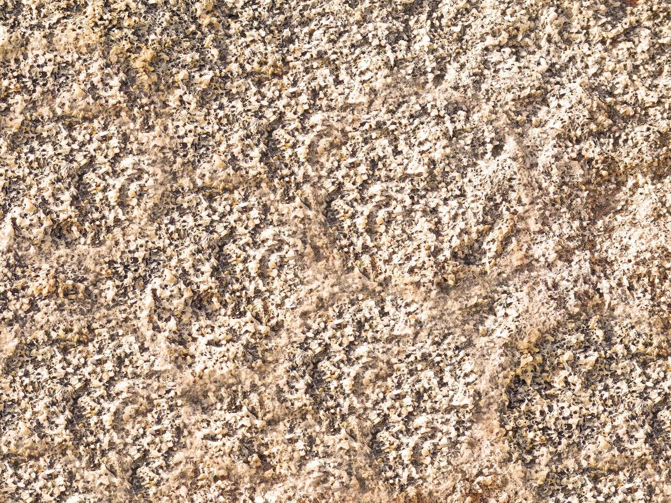 Stone texture outdoor photo