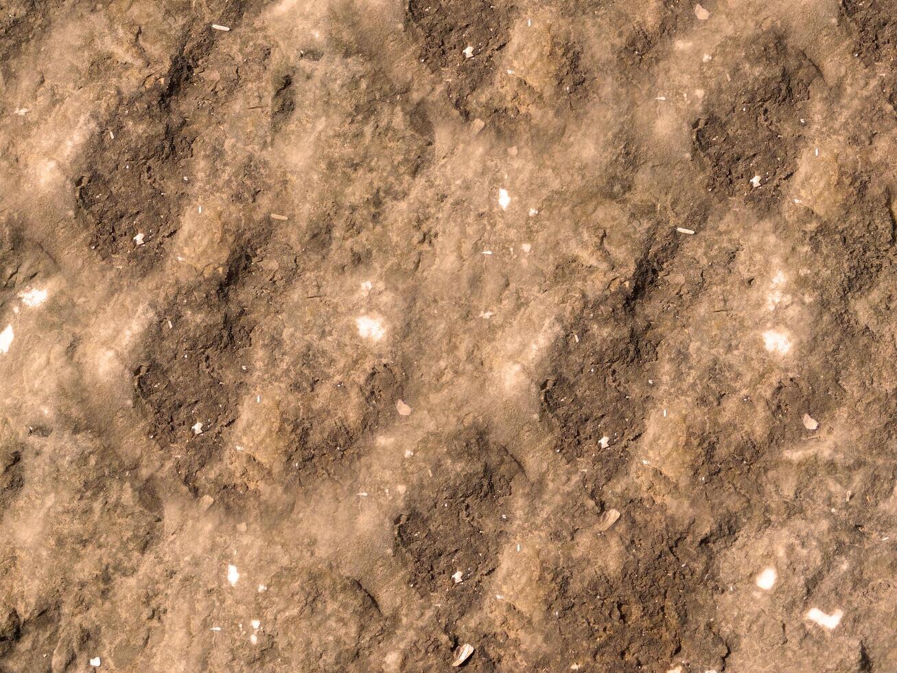 outdoor stone texture photo