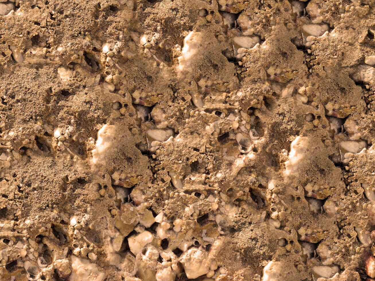 outdoor stone texture photo