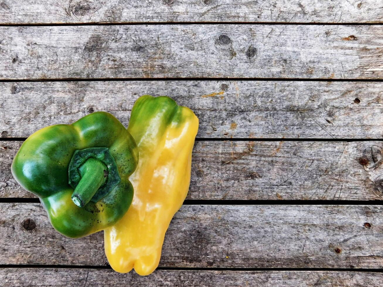 peppers in the kitchen photo