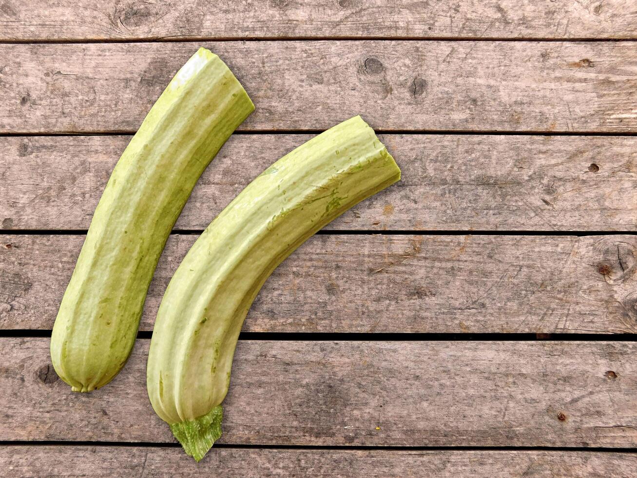 Zucchini in the kitchen photo