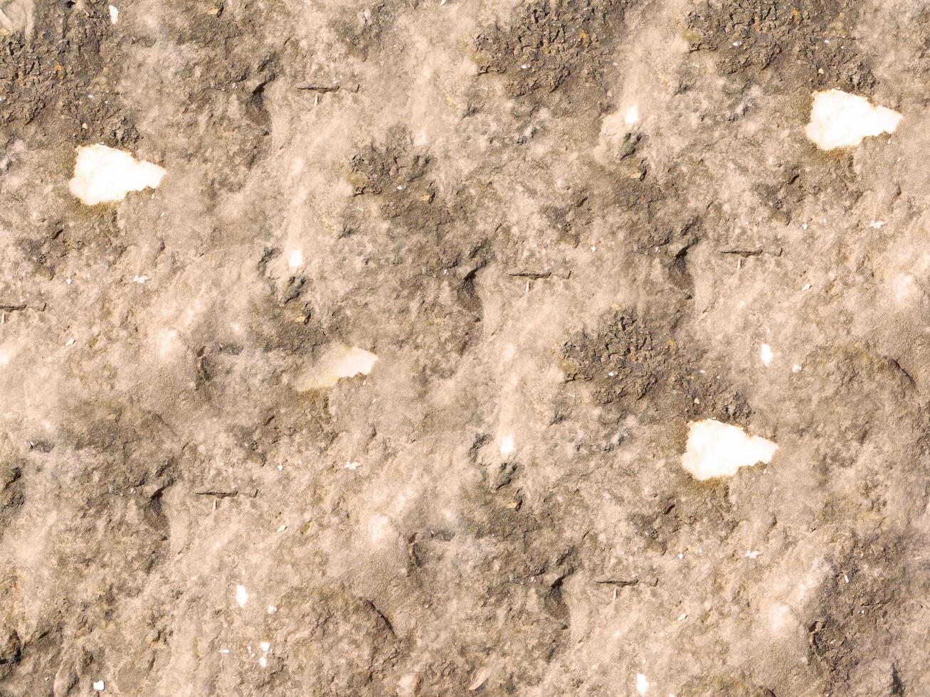 Outdoor stone texture photo