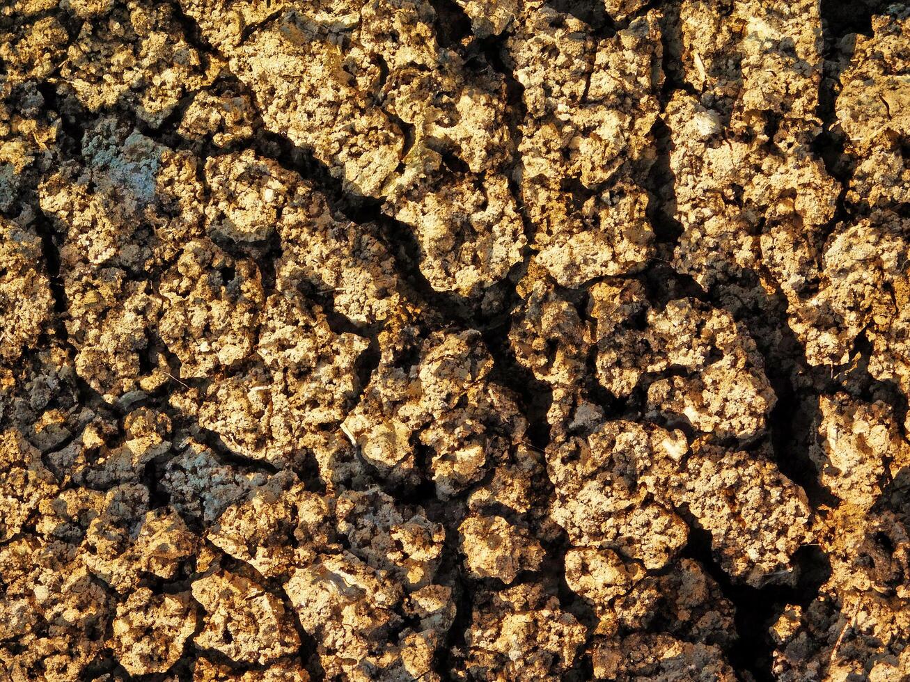 dry ground texture outdoors photo