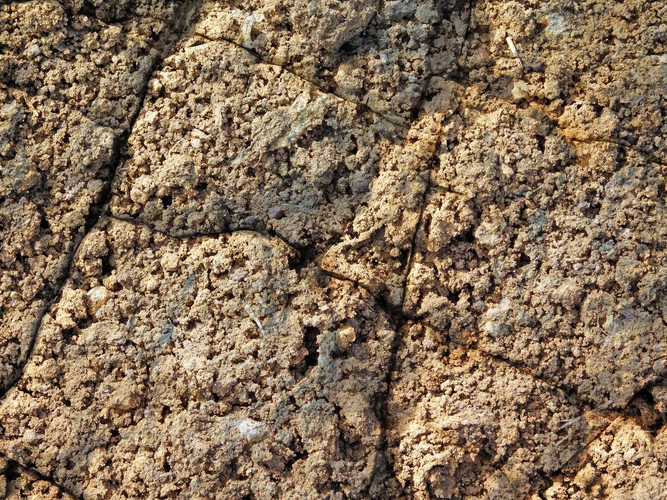 dry ground texture outdoors photo