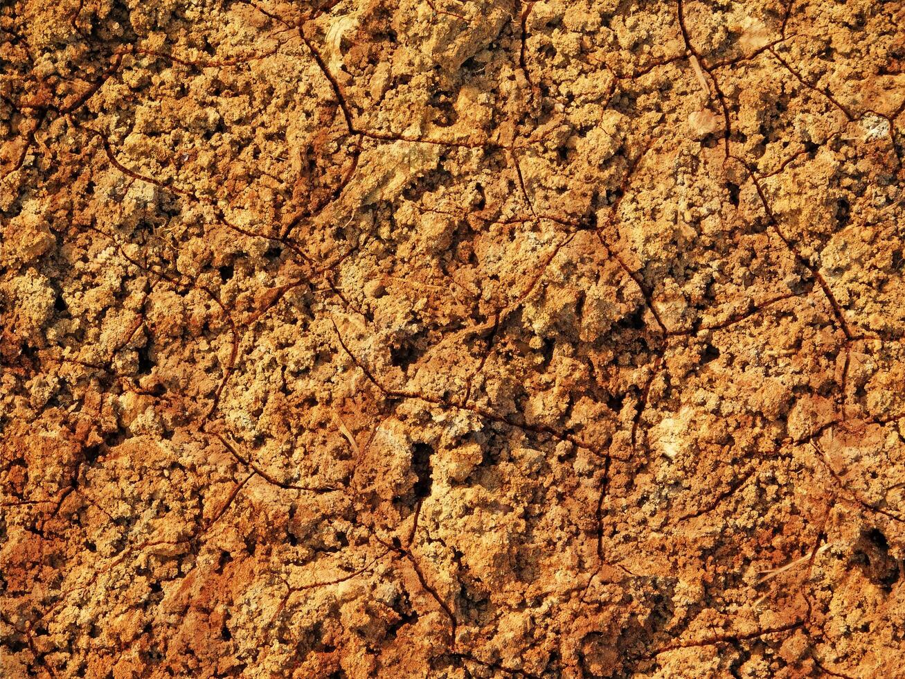 dry ground texture outdoors photo