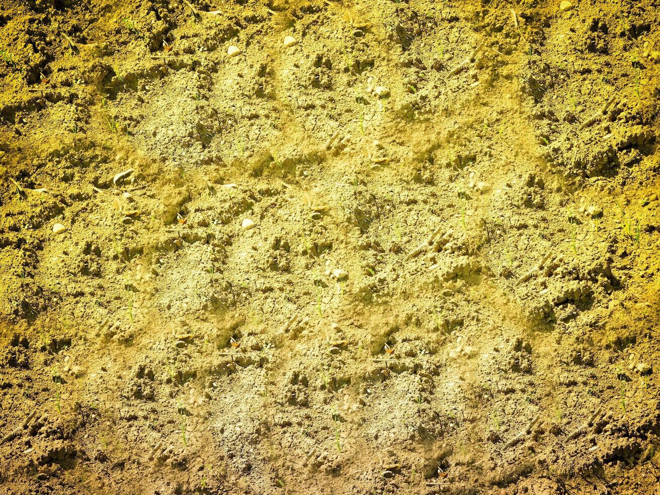 Ground texture outdoor photo