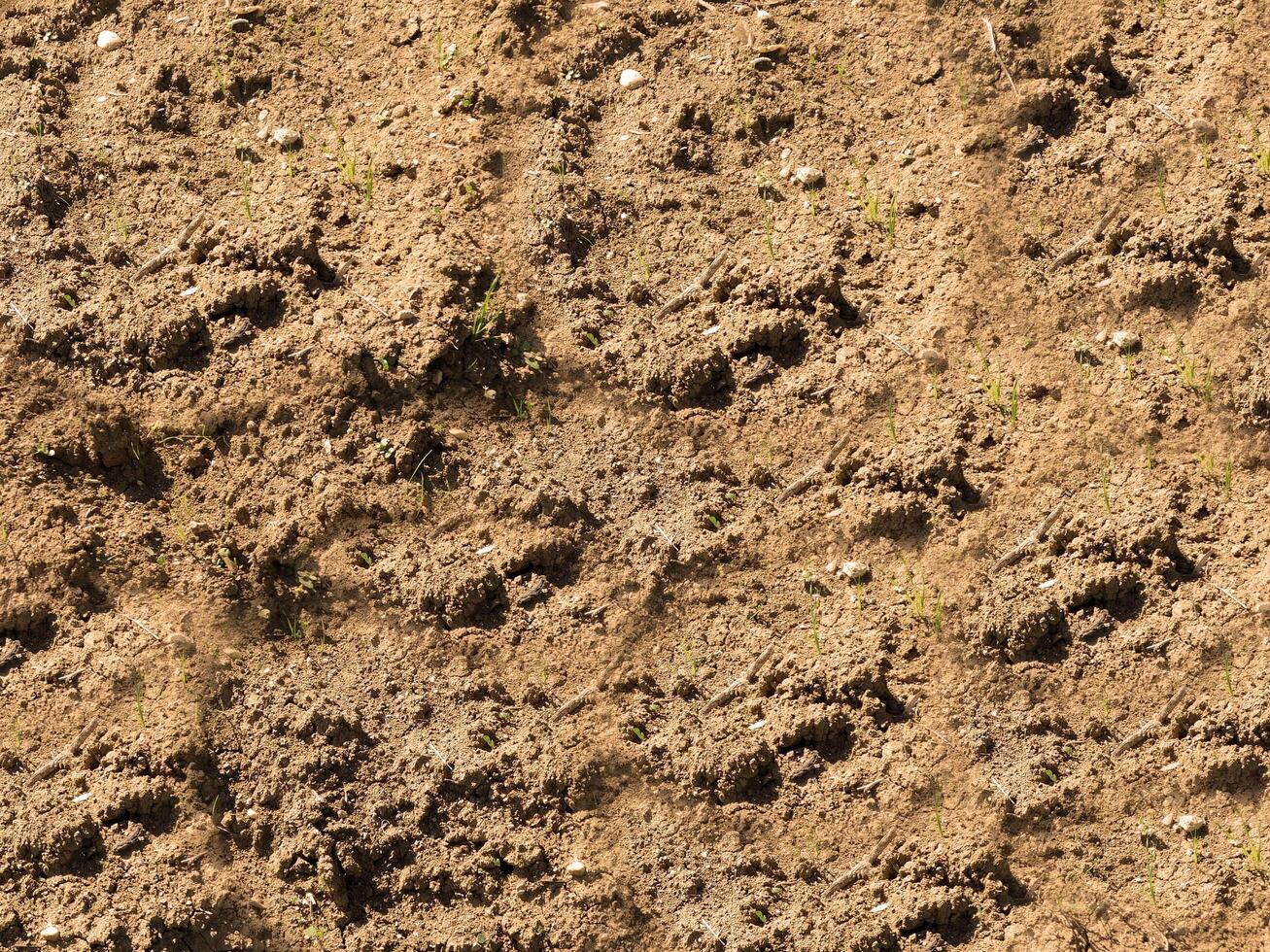 outdoor ground texture photo